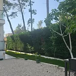 Poolside Elsa 格勒姆